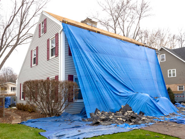 Best Shed Removal  in Jessup, PA